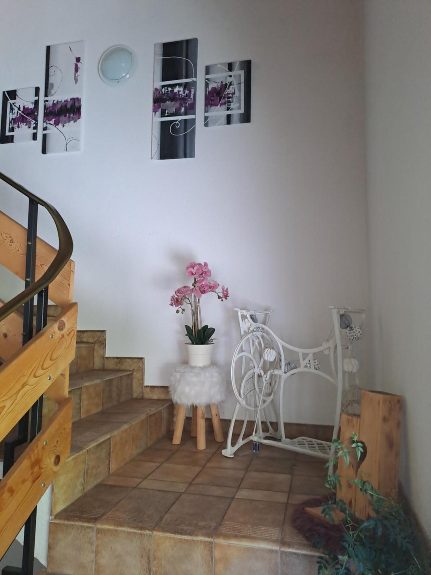 Nancy Apartment *